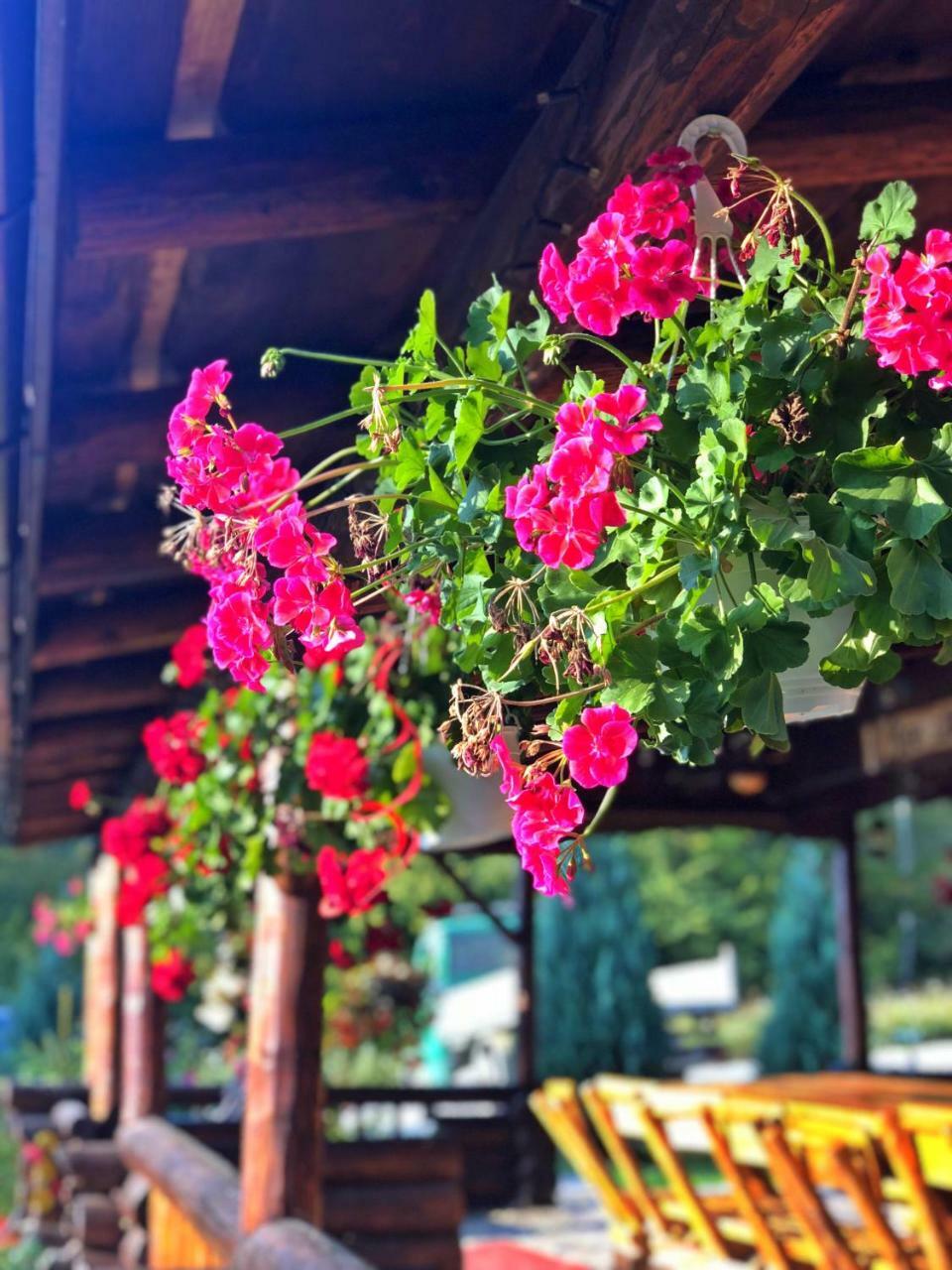 Cabana Din Groapa Frumoasa Rîşnov Exterior foto